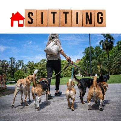 House-sitting