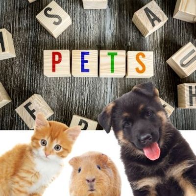Pets