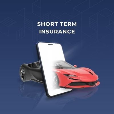 Short-term Insurance